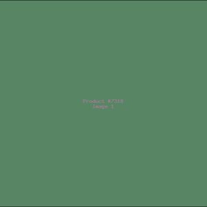 Example Product 7318