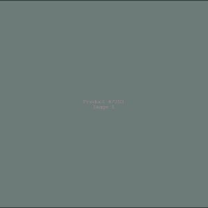 Example Product 7353