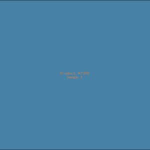 Example Product 7356