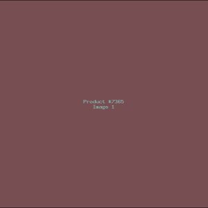 Example Product 7365