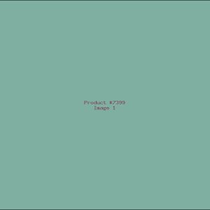 Example Product 7399