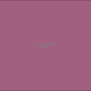 Example Product 7419