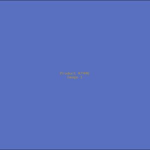 Example Product 7446