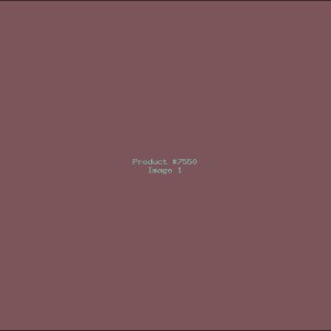 Example Product 7550