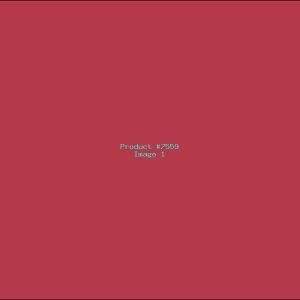 Example Product 7559