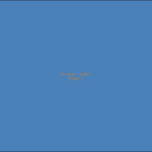 Example Product 7561