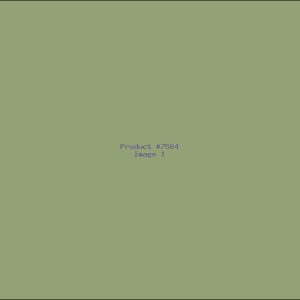 Example Product 7564