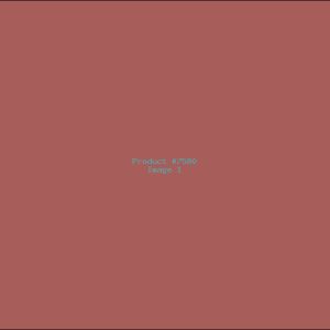 Example Product 7580