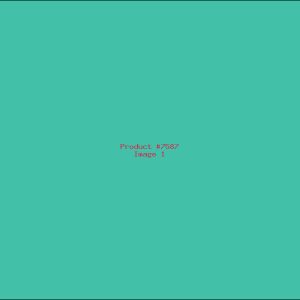 Example Product 7587