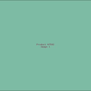 Example Product 7592