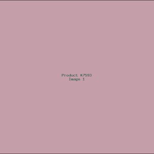 Example Product 7593