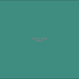 Example Product 7595