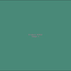 Example Product 7618