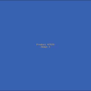 Example Product 7629