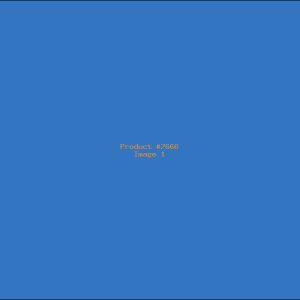 Example Product 7666