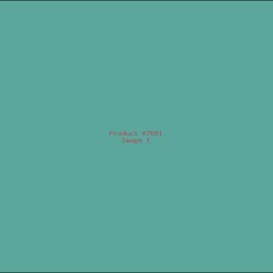 Example Product 7681