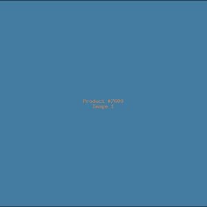 Example Product 7689