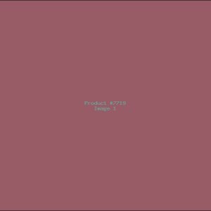 Example Product 7719
