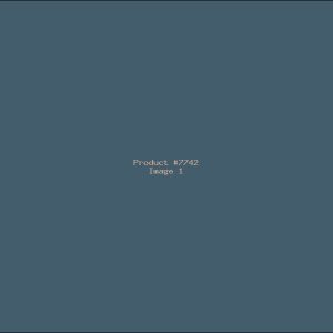 Example Product 7742