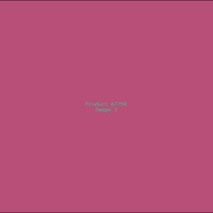 Example Product 7758