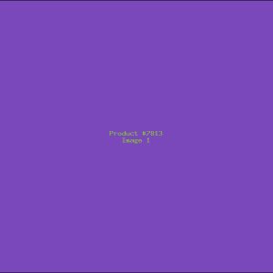 Example Product 7813