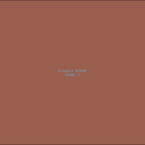 Example Product 7848