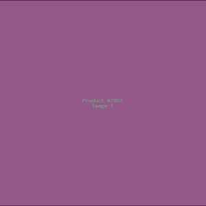 Example Product 7852