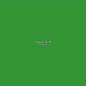 Example Product 7855