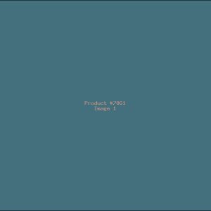 Example Product 7861