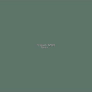 Example Product 7899