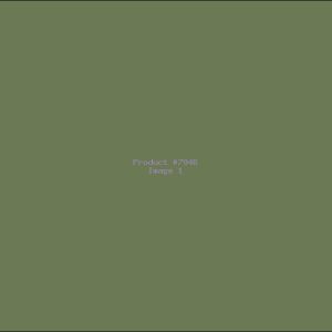 Example Product 7946