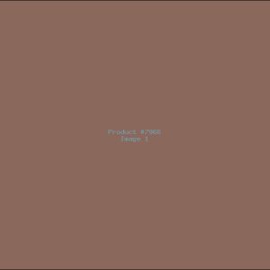 Example Product 7966