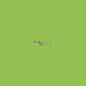 Example Product 7979