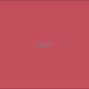 Example Product 7989