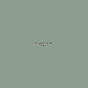 Example Product 8003