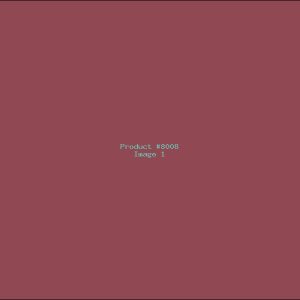 Example Product 8008