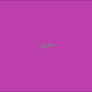 Example Product 8021