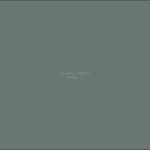 Example Product 8042