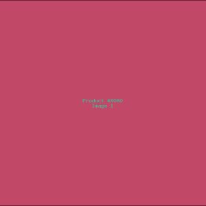 Example Product 8080