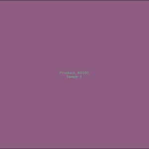 Example Product 8102