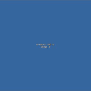 Example Product 8112