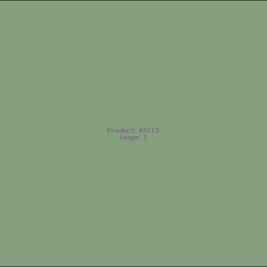 Example Product 8113