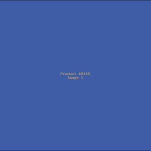 Example Product 8116