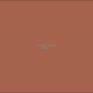 Example Product 8119