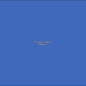 Example Product 8137