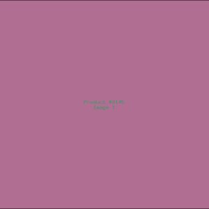 Example Product 8145