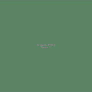 Example Product 8216