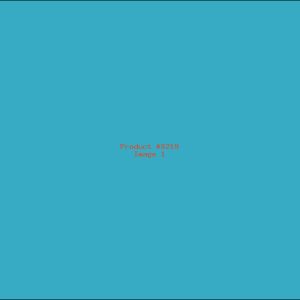 Example Product 8219