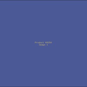 Example Product 8250