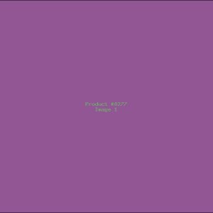 Example Product 8277